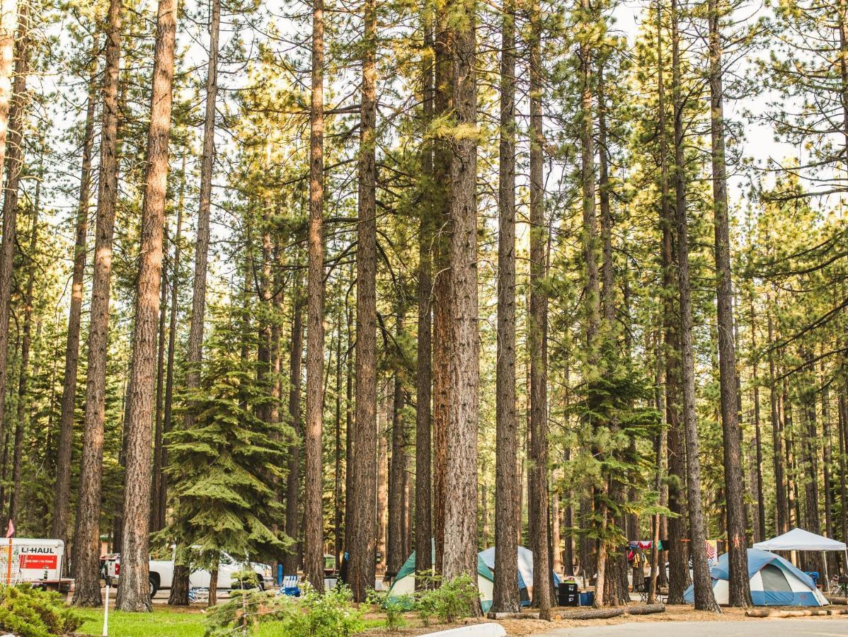 Tahoe Valley Cottage 2 South Lake Tahoe Ngoại thất bức ảnh
